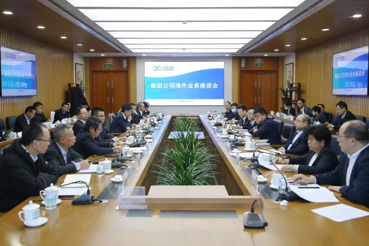 对海外业务进行全面分析和总结