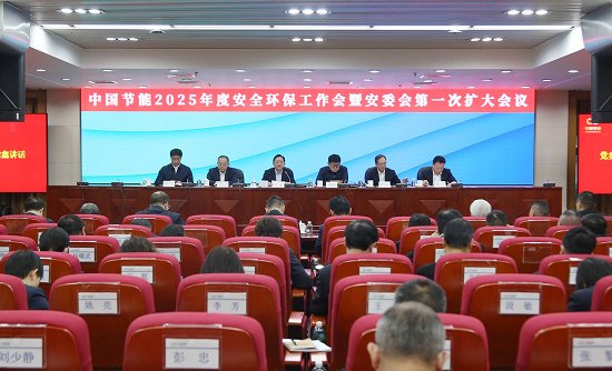 分析了面临的形势和问题
