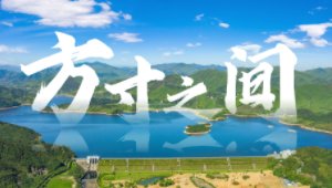 更多阅读同栏目条目通常按时间倒序排列