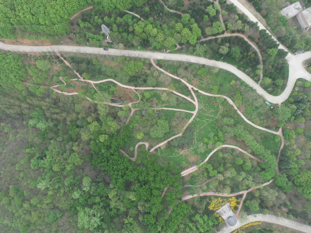 撂荒的土地变成良田