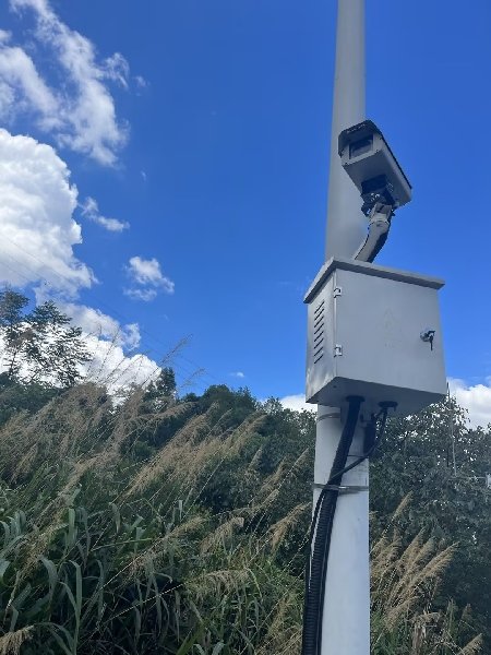 再进入全文