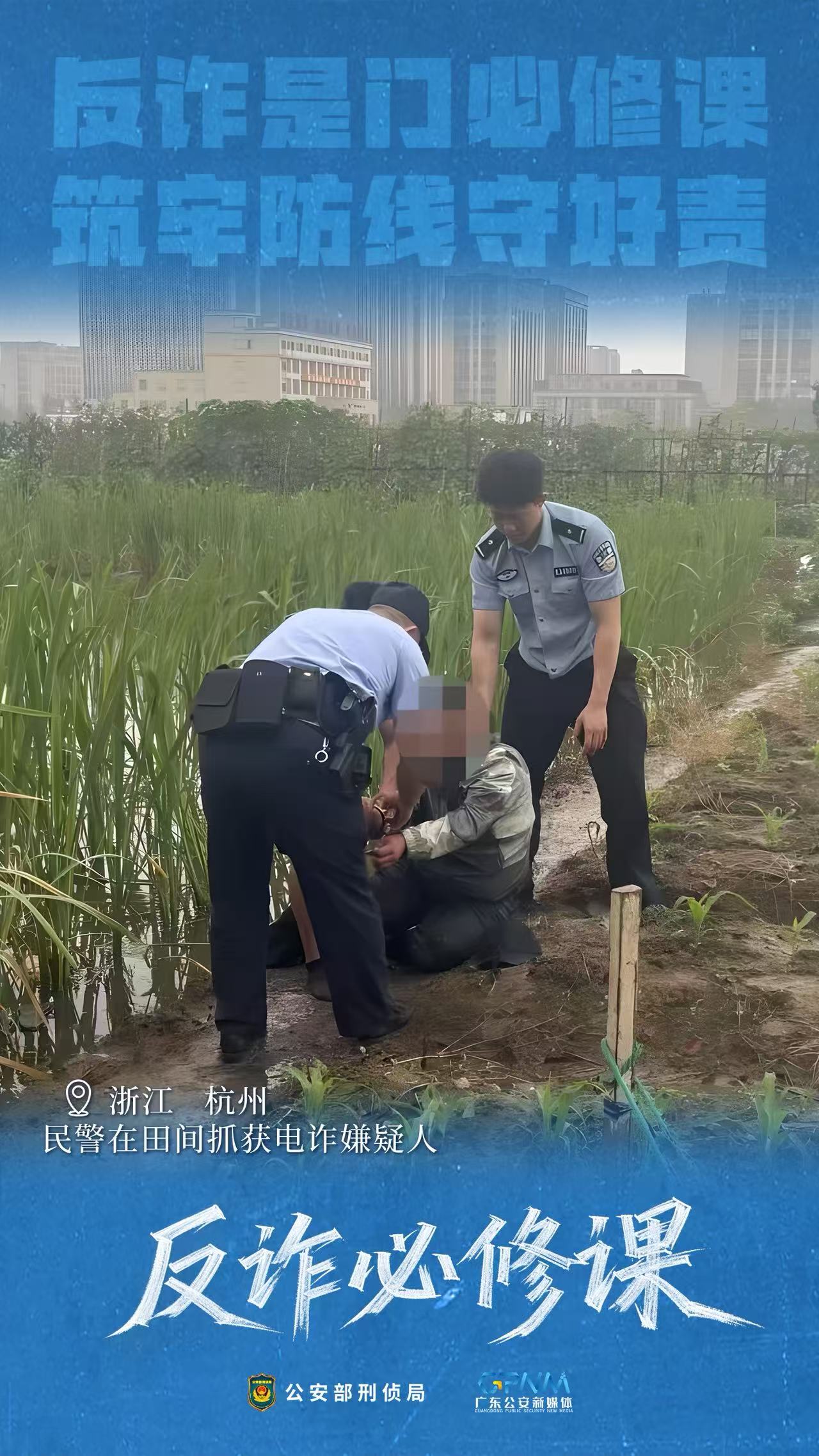建议先扫读标题与摘要